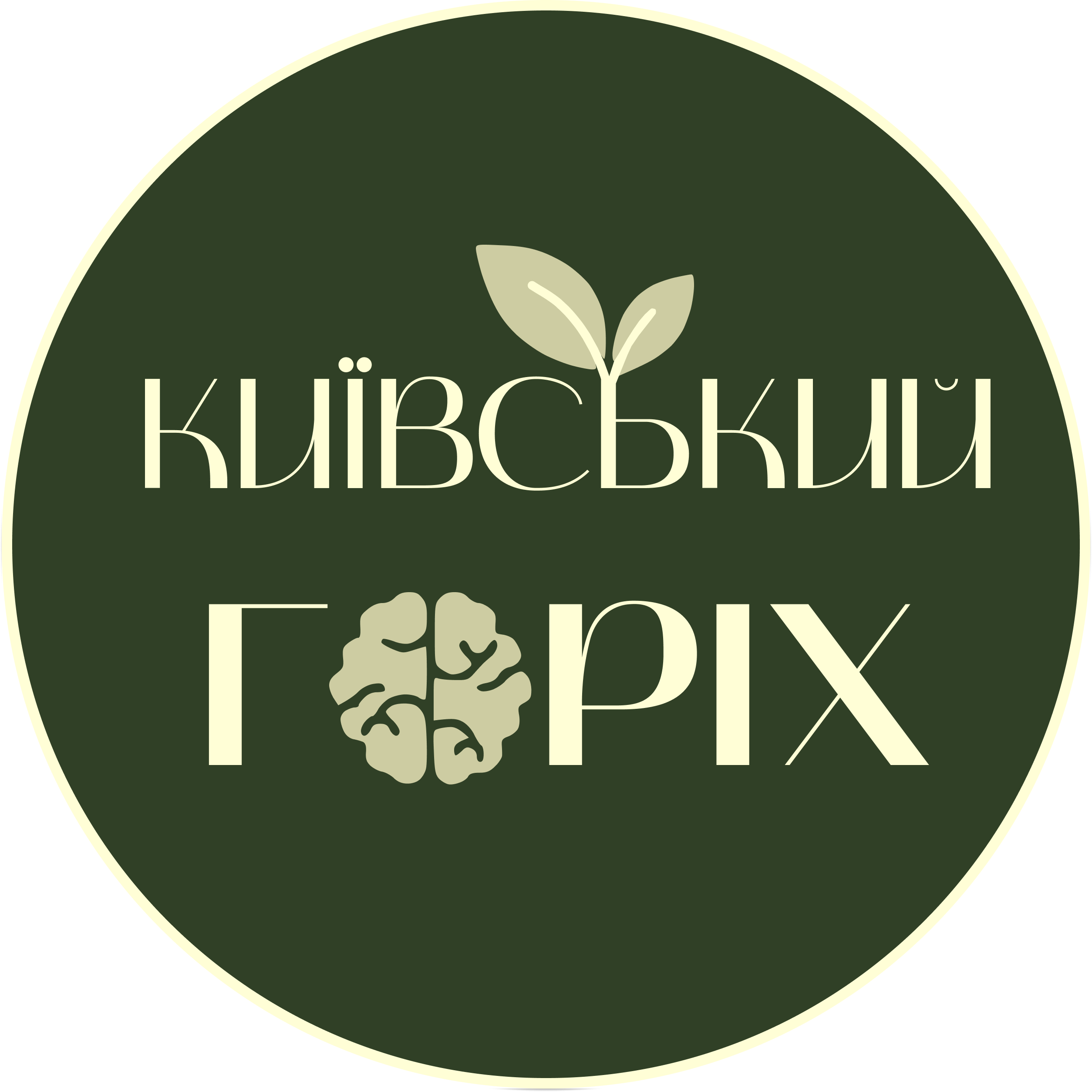 LOGO KYIVNUT